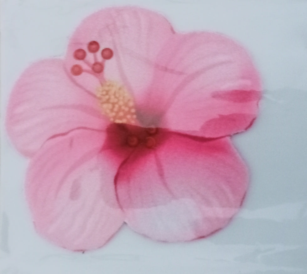 Fabric Ready rangoli washable /Decorative item