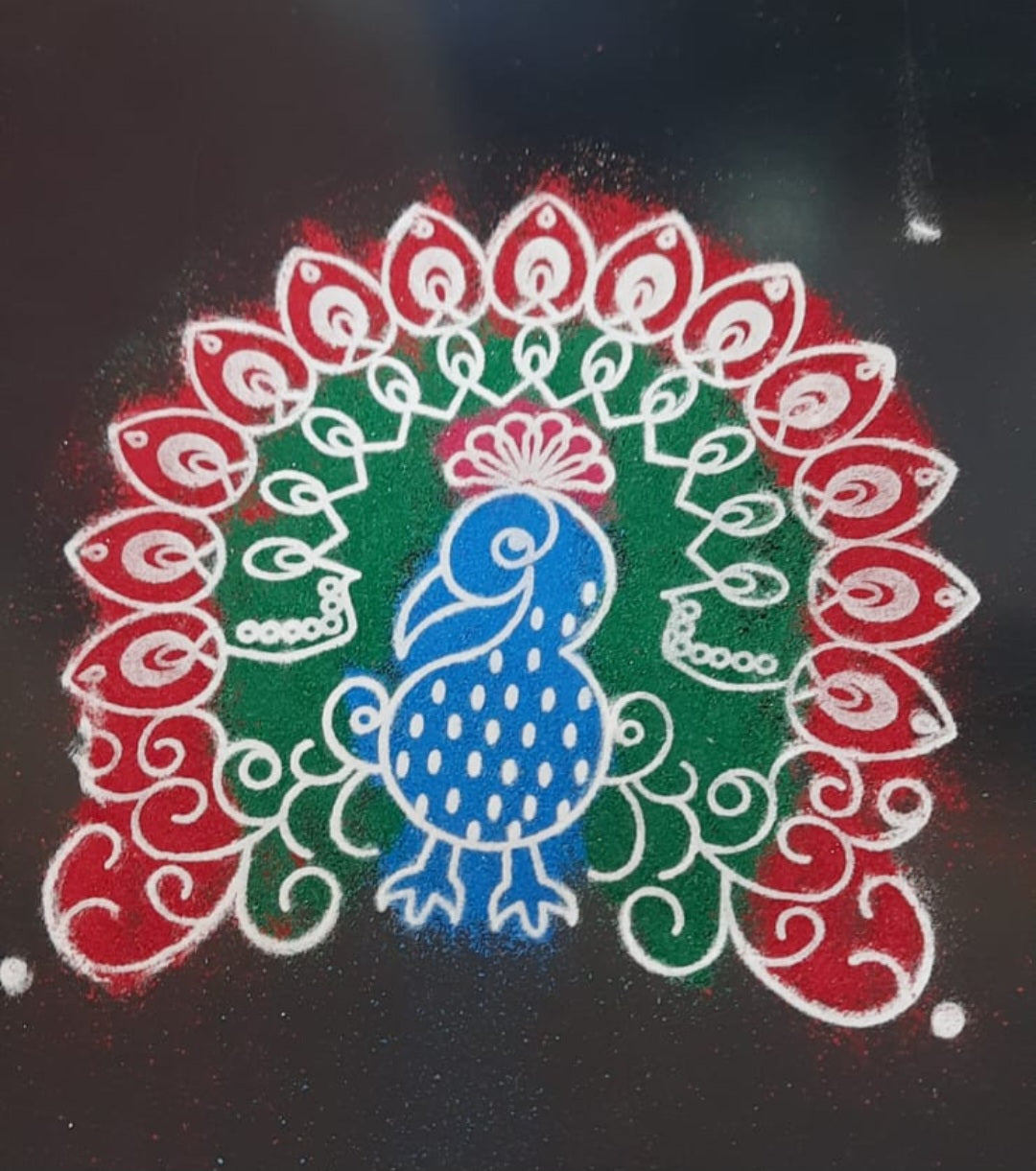 Peacock Rangoli Stencil / Sacha